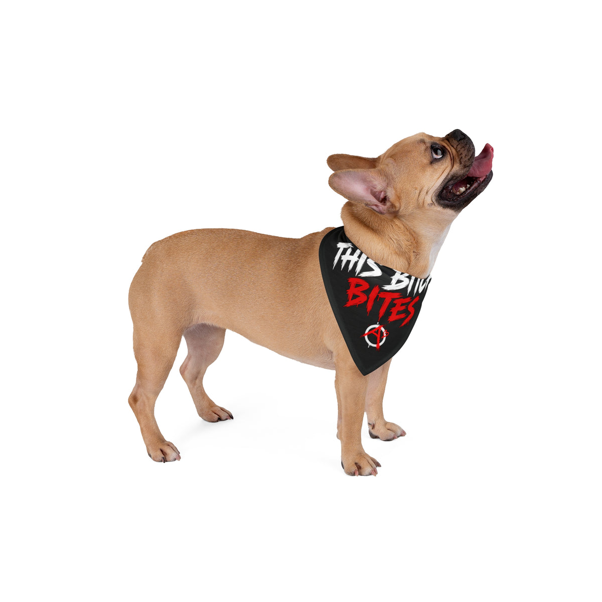 THIS BITCH BITES DOG BANDANA
